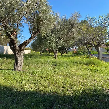 Casa Latina Σπίτι διακοπών *
